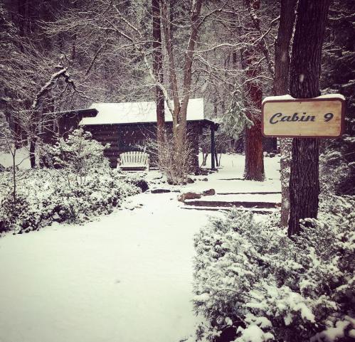 A snowy scene featuring a cabin labeled "Cabin 9" surrounded by trees and a path leading to it.