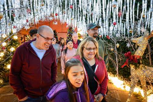 A group of people walking through a festive, decorated area with Christmas lights and trees.