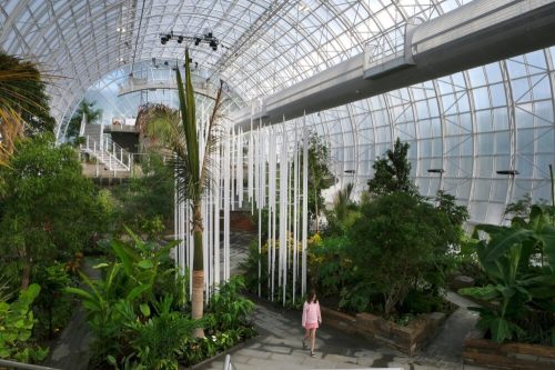 A person walks through a lush greenhouse filled with tropical plants and tall, hanging structures.