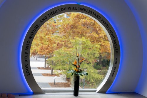 A circular window with a quote about nature, framed by blue lighting, overlooks a colorful outdoor scene and a flower arrangement.