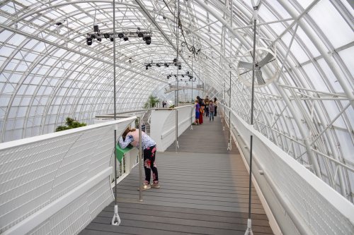 A spacious greenhouse interior with a walkway, people exploring, and a child leaning over a railing.