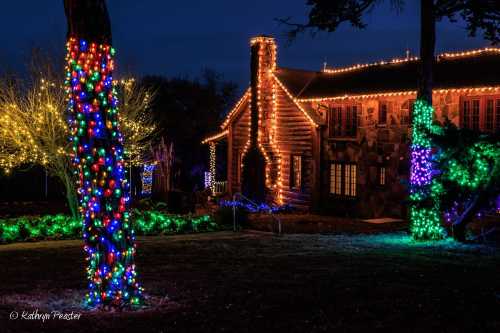 A cozy log cabin adorned with colorful holiday lights, surrounded by illuminated trees and greenery at night.