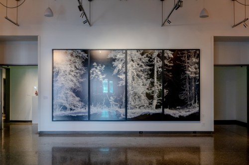 A large black and white artwork depicting a forest scene, displayed on a gallery wall with modern lighting.