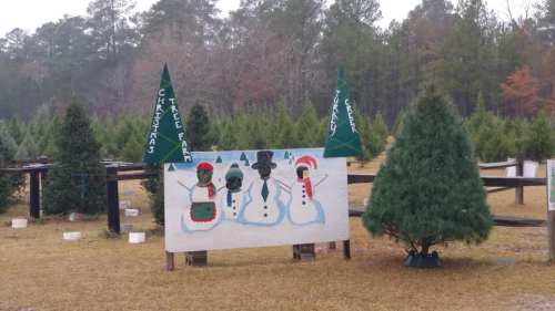 A festive sign with painted snowmen and Christmas trees at a tree farm, surrounded by evergreen trees.