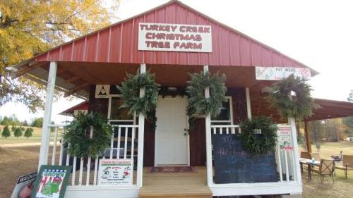 A rustic building with a red roof and wreaths, labeled "Turkey Creek Christmas Tree Farm," surrounded by trees.