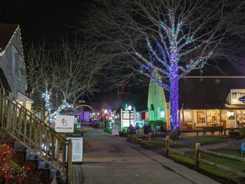 A festive street scene at night, adorned with colorful lights and decorations on trees and buildings.