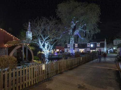 A festive night scene with illuminated trees and buildings, featuring holiday lights along a pathway and a church steeple.