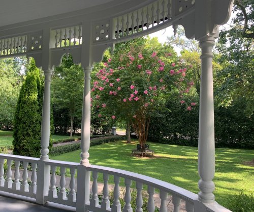 A view from a porch with white columns, overlooking a lush green garden and a flowering tree.