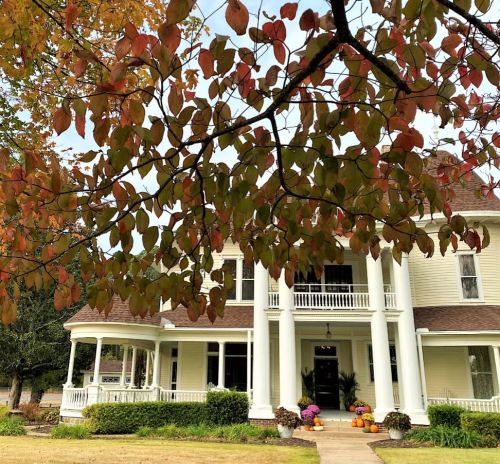 A charming yellow house with white columns, surrounded by autumn leaves and colorful flower pots.