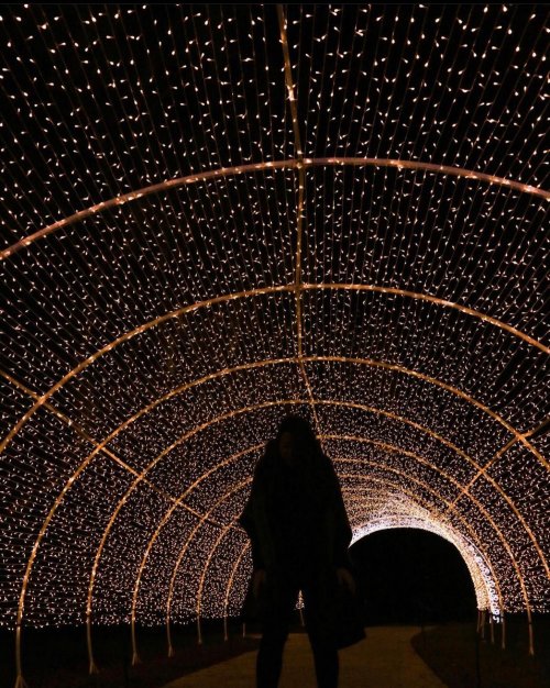 A person stands under a tunnel of twinkling fairy lights, creating a magical, illuminated atmosphere.