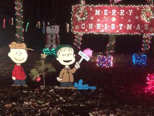 Two cartoon characters stand by a small Christmas tree, holding a sign, with festive lights and a snowman in the background.