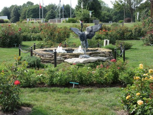 A metal crane statue stands in a circular stone pond, surrounded by blooming rose bushes in a garden.