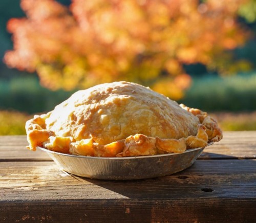 A golden-brown pie sits on a wooden table, with a blurred autumn landscape in the background.