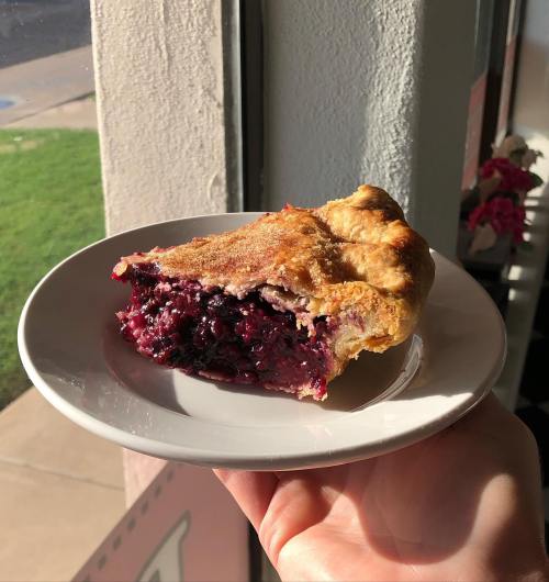 A slice of berry pie on a white plate, held in front of a window with sunlight illuminating the filling.