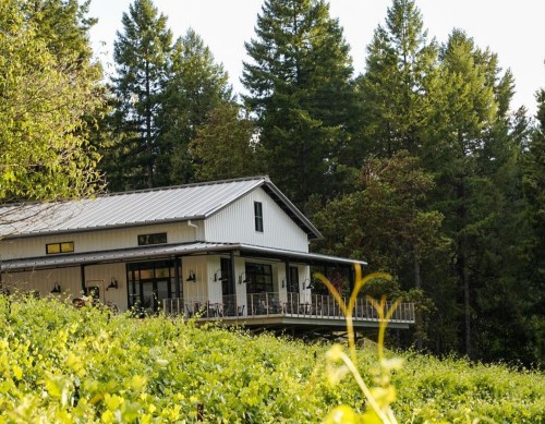 A modern house with a metal roof nestled among tall green trees and lush vegetation.