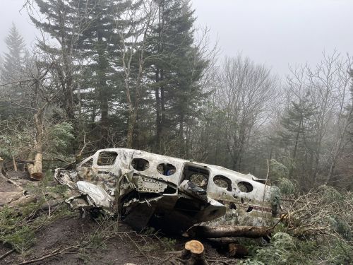 A wrecked airplane fuselage lies among trees in a foggy forest, surrounded by fallen branches and underbrush.