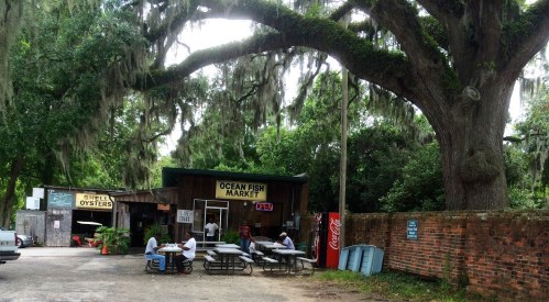 A rustic fish market under a large tree, with outdoor seating and people dining nearby. Spanish moss hangs from branches.