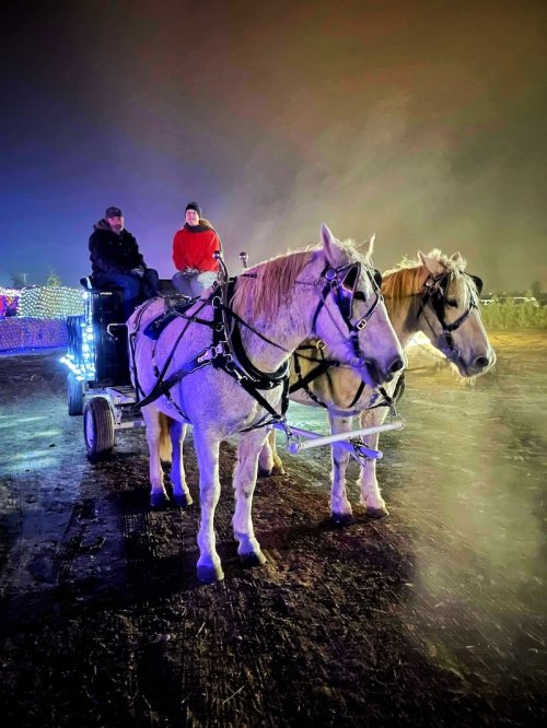Two white horses in harness pull a cart with two people, surrounded by colorful lights in a foggy night setting.