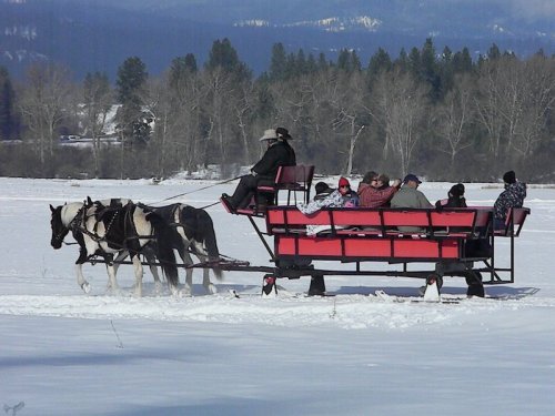 A horse-drawn sleigh carries passengers across a snowy landscape with trees and mountains in the background.