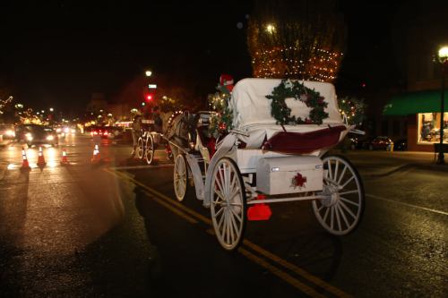 A festive horse-drawn carriage decorated with a wreath, parked on a lit street at night, surrounded by holiday lights.