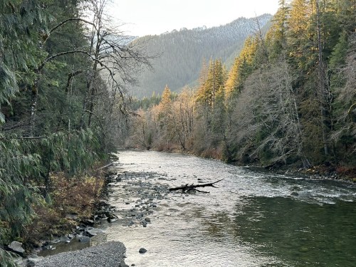 A serene river flows through a forested landscape, with mountains in the background and sunlight filtering through trees.