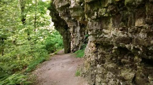 A narrow path winds through a lush green forest, flanked by rugged stone cliffs.