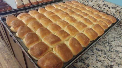 A tray of freshly baked golden-brown dinner rolls arranged in neat rows on a countertop.