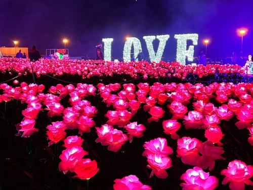 A vibrant field of pink flowers illuminated at night, with a large "LOVE" sign glowing in the background.