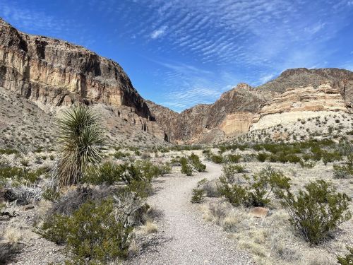 A winding path through a desert landscape with rocky cliffs and sparse vegetation under a blue sky with clouds.