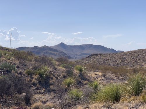 A desert landscape featuring mountains in the background, sparse vegetation, and a clear blue sky.