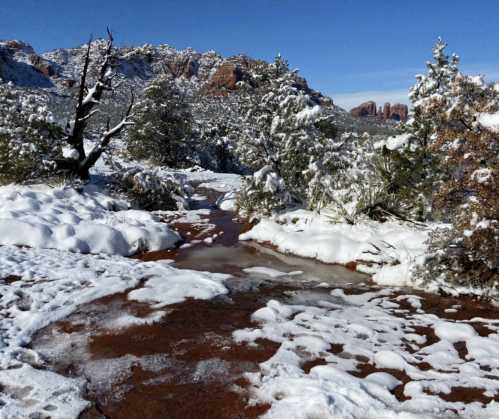 A snowy landscape with a stream flowing through, surrounded by trees and rocky formations under a clear blue sky.