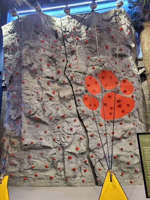 Indoor rock climbing wall with a textured surface, red climbing holds, and a large orange paw print design.