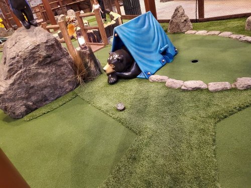 A miniature golf course featuring a bear figurine under a blue tent, surrounded by rocks and artificial grass.