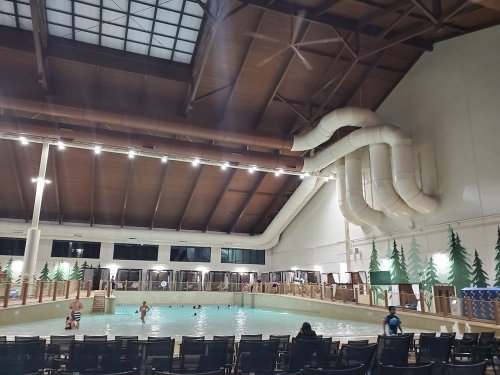 Indoor swimming pool with a large water slide, surrounded by wooden beams and decorated with tree murals.