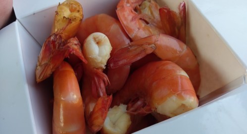 A box filled with cooked shrimp, showcasing their pink-orange color and varying sizes.