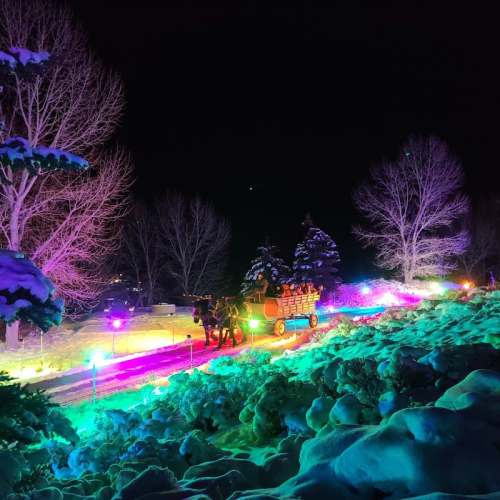 A snowy landscape at night with colorful lights and a horse-drawn sleigh on a path surrounded by trees.