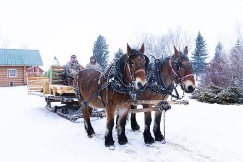 Two horses pull a sled loaded with logs through a snowy landscape, with two people seated on the sled.