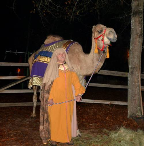 A person in historical attire stands beside a camel, both adorned with colorful decorations, in a nighttime setting.