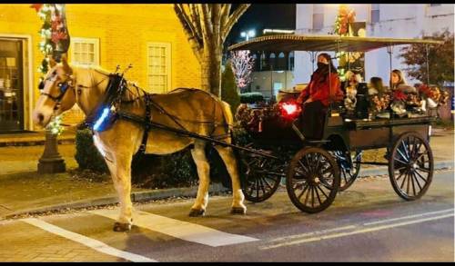 A horse-drawn carriage decorated for the holidays, with passengers enjoying a nighttime ride through a festive street.