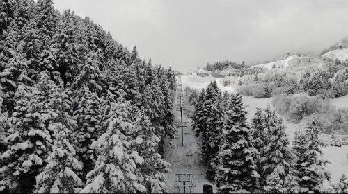 A snowy landscape with tall pine trees and a ski lift running through the winter scenery.
