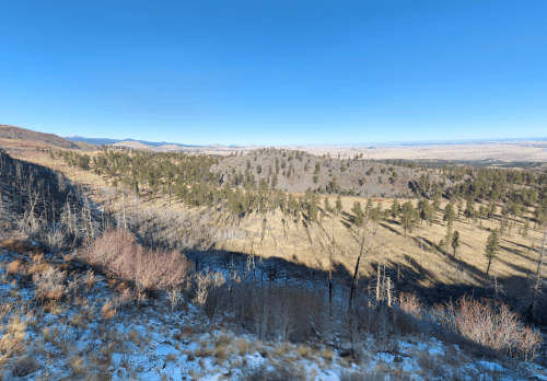 A panoramic view of a grassy valley surrounded by trees and mountains under a clear blue sky.