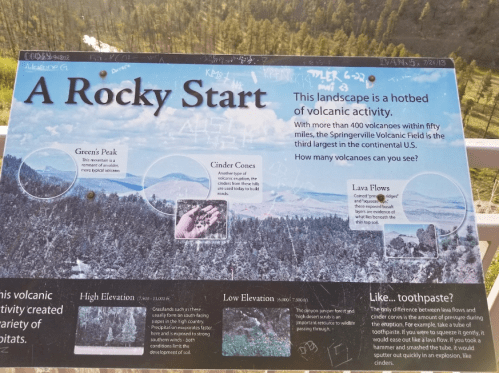 Informational sign about volcanic activity in the Springville Volcanic Field, featuring maps and descriptions of various landforms.