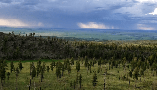 A panoramic view of a green landscape with scattered trees under a cloudy sky, hinting at distant rain.