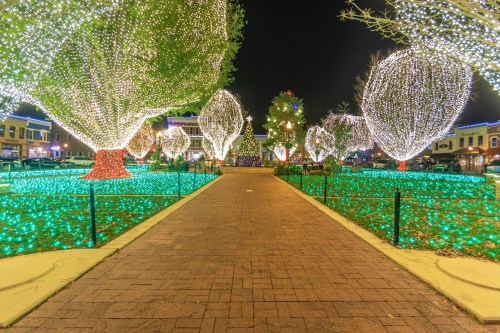 A beautifully lit park at night, featuring trees adorned with colorful lights and a festive atmosphere.
