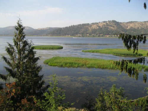 A serene lake scene with green islands, surrounded by trees and mountains under a clear blue sky.
