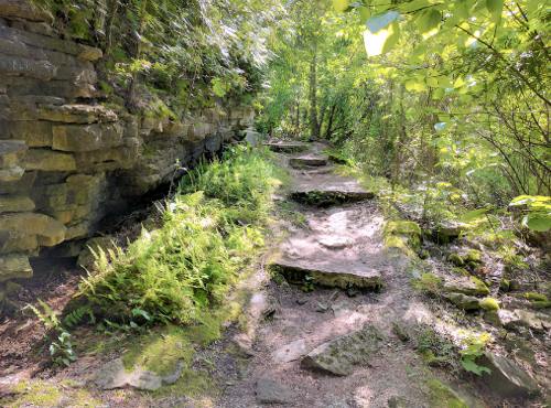 A rocky path winds through a lush green forest, surrounded by trees and ferns under dappled sunlight.