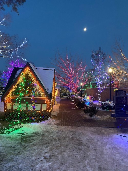 A snowy path lined with colorful holiday lights and trees, leading to a cozy, decorated cabin under a night sky.