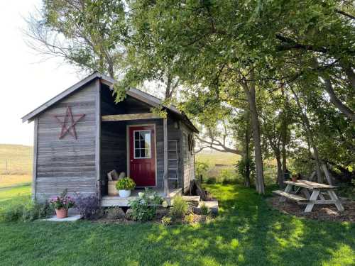 A small wooden cabin with a red door, surrounded by greenery and a picnic table nearby.