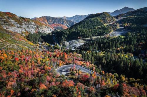 Aerial view of a winding road through vibrant autumn foliage and mountains in the background.