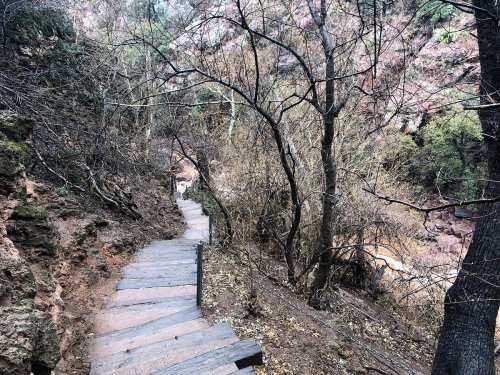 A winding wooden path through a wooded area with bare trees and rocky terrain.
